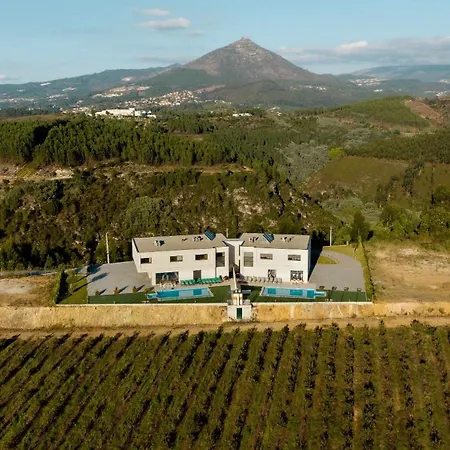 Casa Dos Mirtilos Draper T6 بيت للعطل سيلوريكو دي باستو