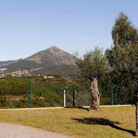 بيت للعطل Casa Dos Mirtilos Draper T6 سيلوريكو دي باستو