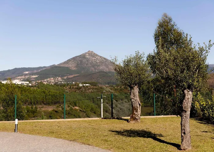 Vakantiehuis Casa Dos Mirtilos Draper T6 Celorico De Basto